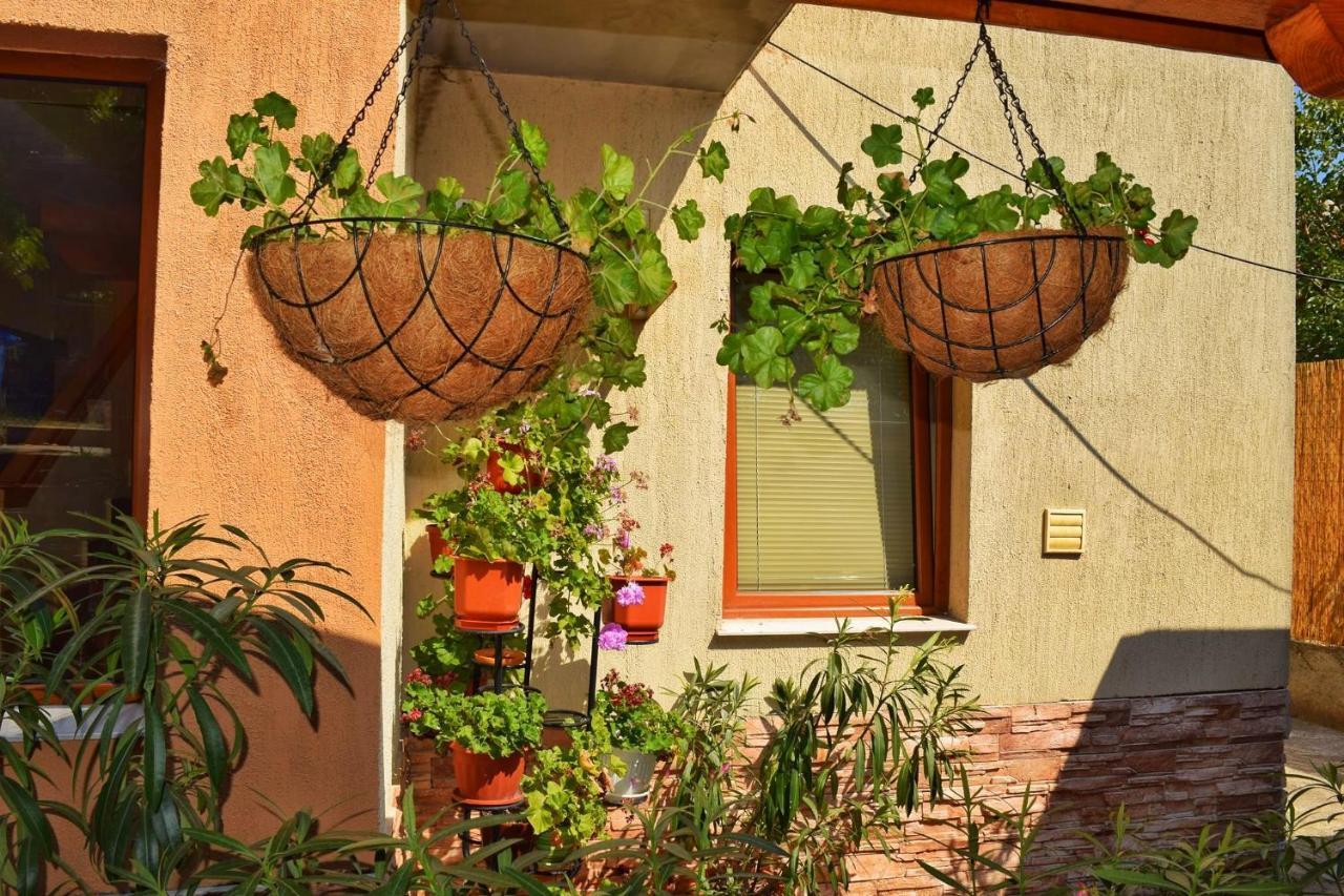 Tatyana Guest House Bjała Zewnętrze zdjęcie